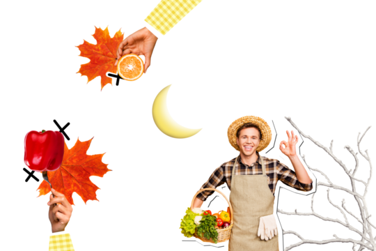 Composite trend artwork image collage of autumn thanksgiving day tradition feast farmer young man hold grocery food pepper orange leaves