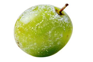 Close Up of Round Green Fruit with White Bloom on a Black Transparent Background