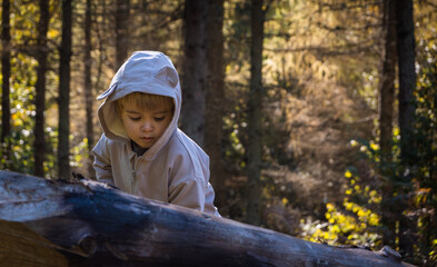 Boy explores nature while walking in the forest