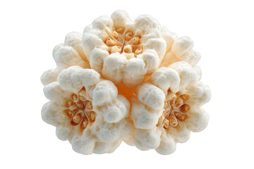 Abstract Creamy White Coral Structure Glowing with Golden Center on Transparent Background