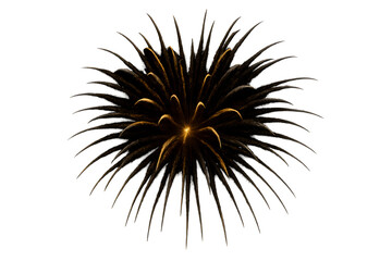 Obraz premium Happy golden retriever beside blue water bowl outdoors showing love hydration and care connection