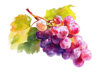 Watercolor Illustration of Purple Grapes Cluster with Yellow Green Leaves on Transparent Background