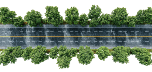 Overhead view of a road bordered by lush green trees, yellow lane divider, realistic, detailed