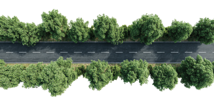 Aerial view of a straight road bordered by lush green trees. The asphalt is weathered and marked