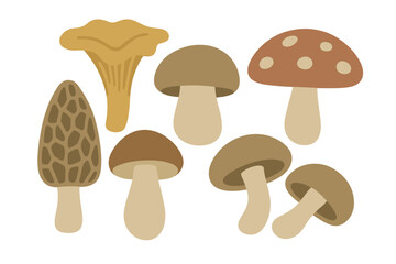 Assortment of stylized edible and fantasy mushrooms isolated on white background