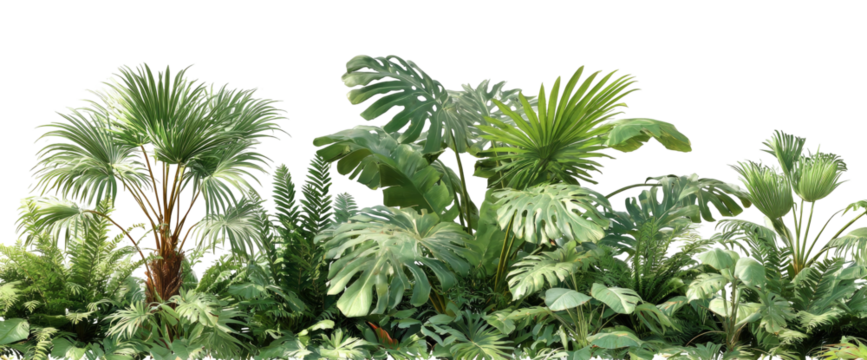 A lush collection of vibrant green tropical plants, including broadleaf foliage and palm-like trees