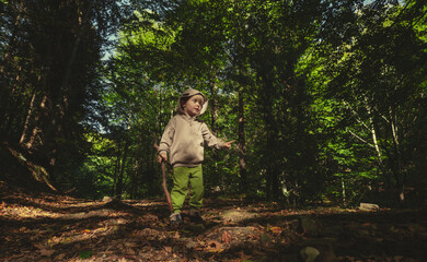 Child's forest walk, exploring the natural world in childhood