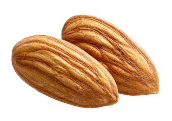 Two shelled, roasted, and textured nuts, showing detailed surface patterns against a black background