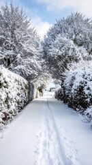 A snow-covered path leading into the distance