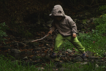 Childhood close to nature, a little boy walking in the forest
