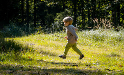 Boy explores nature while walking in the forest