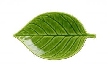 Obraz premium Green ceramic leaf plate presenting kitchenware and nature-inspired serving dish with transparent background