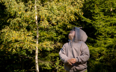 Child's forest walk, exploring the natural world in childhood