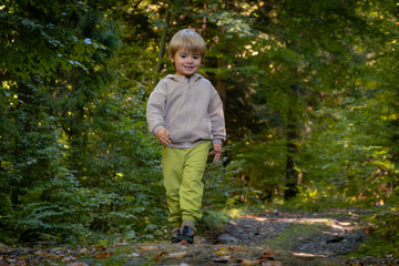 Happy child walking in the forest