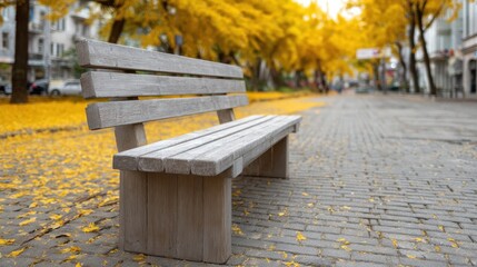 autumn park scene with a wooden bench