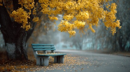 autumn park scene with a wooden bench