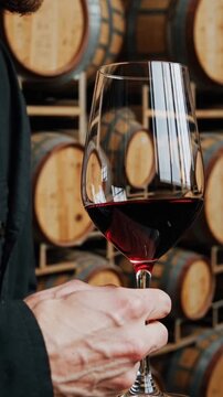 Vertical shot. A winemaker holds a glass of red wine against the background of wine barrels
