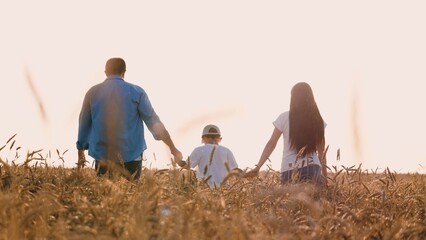 Happy family mother father and son walking at sunny wheat field back view. Parents and boy kid...