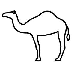 camel