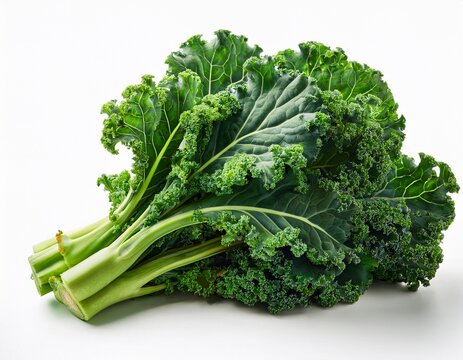 fresh bunch of curly kale greens healthy organic vegetable isolated on white background - Powered by Adobe