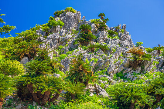 Dai Sekirinzan Park, Okinawa, Japan
