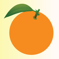 Realstic Orange vector illustration  