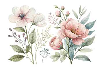 Minimalist Watercolor Botanical Flowers Clipart vector illustration