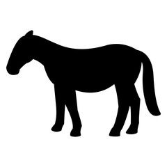 horse