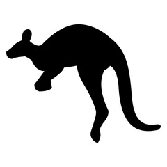kangaroo