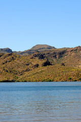 Spring at Saguaro lake in Arizona