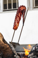 Grilled Octopus Tentacle on Skewer Cooking Over Open Charcoal Fire