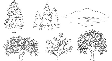 Collection of tree illustrations, , perfect for nature or botanical themes