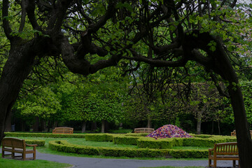 Fototapeta premium Park Oliwski, Gdańsk