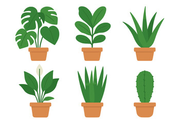 Set of popular indoor houseplants including Monstera, Aloe Vera, and Cactus in terracotta pots