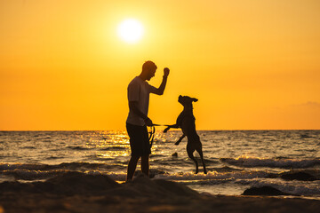 Man playing with his dog on the beach at sunset, dog jumping on hind legs near the sea