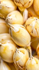 A close-up shot highlighting grains of a creamy, beige hue