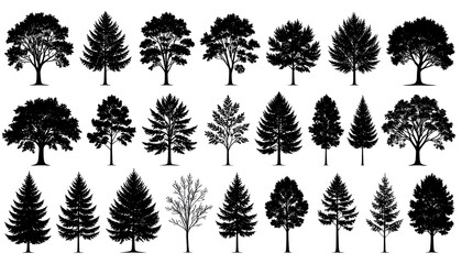 A collection of silhouetted trees in various shapes and styles