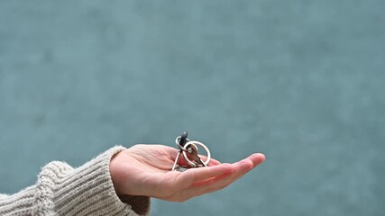 Hand giving house keys with keychain, real estate and homeownership concept - Powered by Adobe