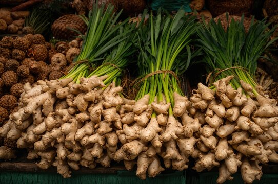 Fresh ginger rhizomes showcased in a local traditional market