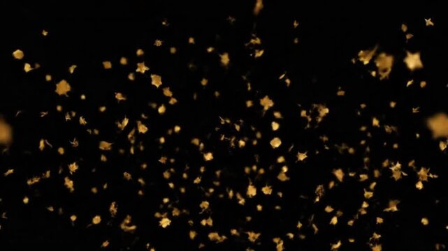 Animation of golden confetti falling down slowly against a pure black background. Shiny metallic particles glimmer and reflect light as they descend in elegant motion. Depth of field and soft
