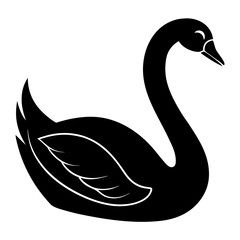 black swan on white