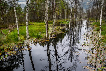 Fototapete bei efototapeten.de bestellen   