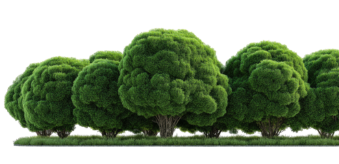 Lush green trees in a row on a grassy plain
