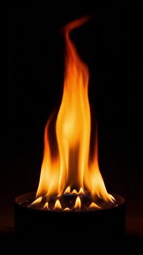 This captivating video showcases a vibrant, controlled fire dancing gracefully against a stark black background. The mesmerizing orange, yellow, and red flames flicker and sway, creating an intense ye