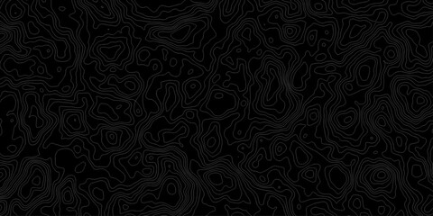 Topographic map, topographer seamless pattern, typography linear equalizer backdrop. Vector seamless line wave map texture, contour background. Topographic map, topographer seamless pattern.

