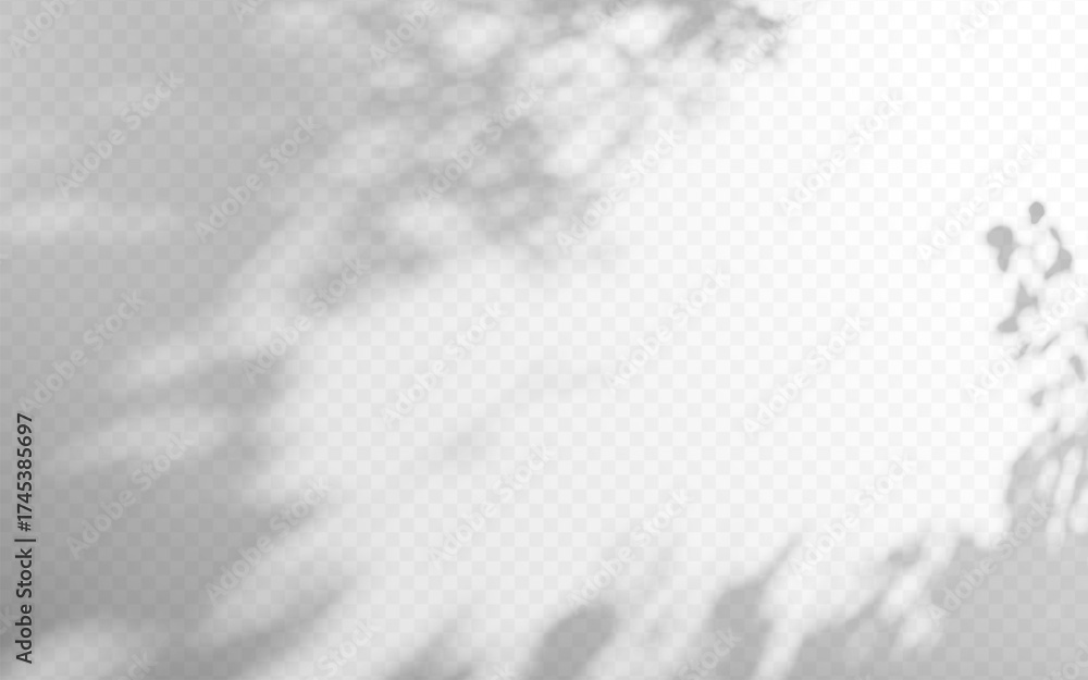 Wall mural abstract shadow gobo overlay from tree branch on a transparent background.