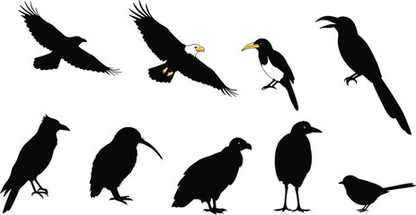 Silhouette of various birds in different poses, flying and standing birds, wildlife illustration, nature concept, ornithology, animal diversity, design elements