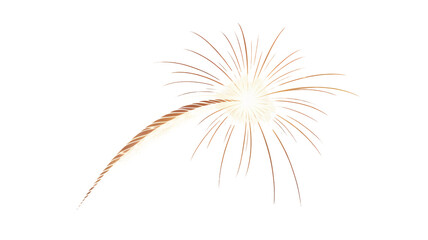 Obraz premium Dynamic fireworks display bursting with vibrant energy against a stark black backdrop, perfect for celebrations and festive designs