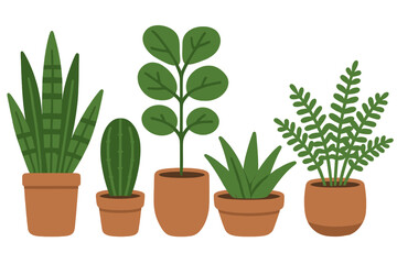 Collection of popular green potted houseplants arranged in a row for home decor