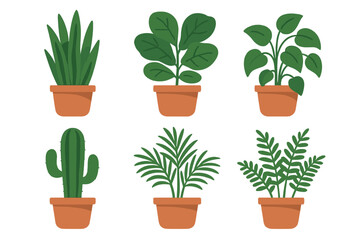 Collection of six popular indoor houseplants in terracotta pots including succulents, palms, and leafy green foliage